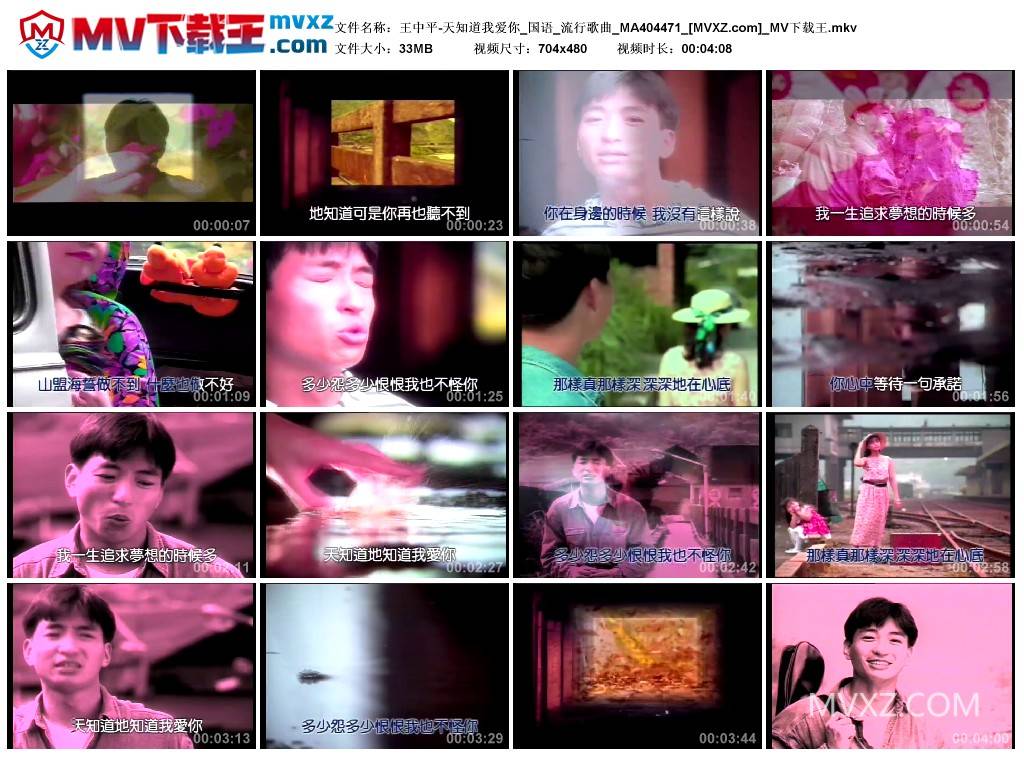 王中平-天知道我爱你_国语_流行歌曲_MA404471